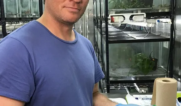 dr-luke-linhoff-collecting-mucus-from-a-frog-at-the-panama-amphibian-rescue-and-conservation-project_50617355846_o.jpg