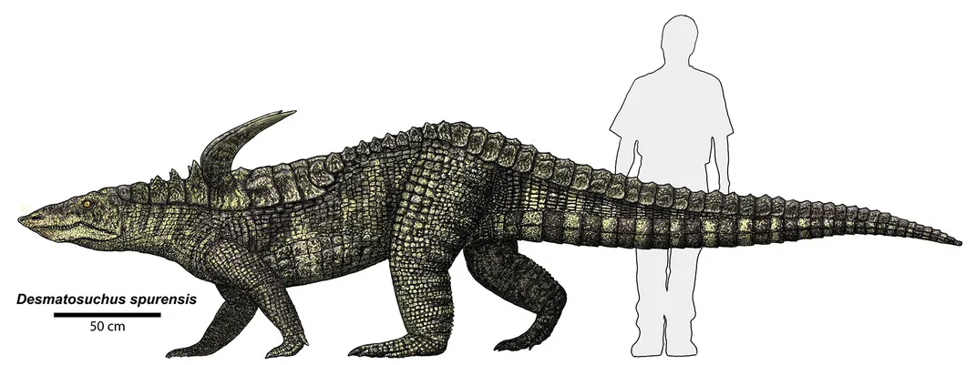 Desmatosuchus