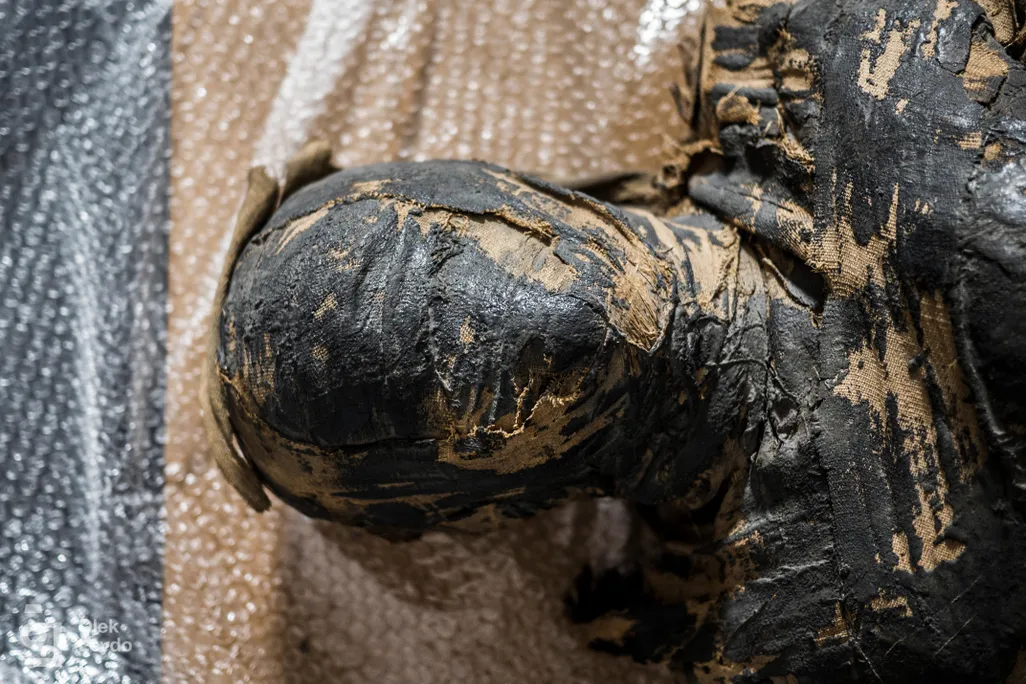 Overhead view of the pregnant mummy