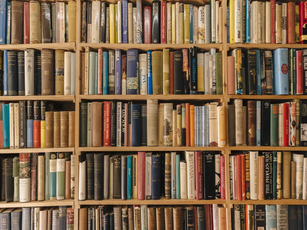 Shelves of books