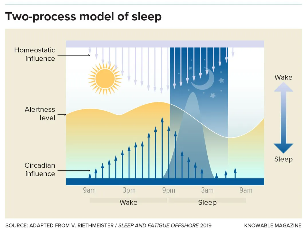 Sleep Graphic