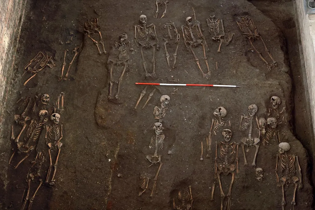 Remains of individuals unearthed at the site of the former Hospital of St. John the Evangelist in Cambridge