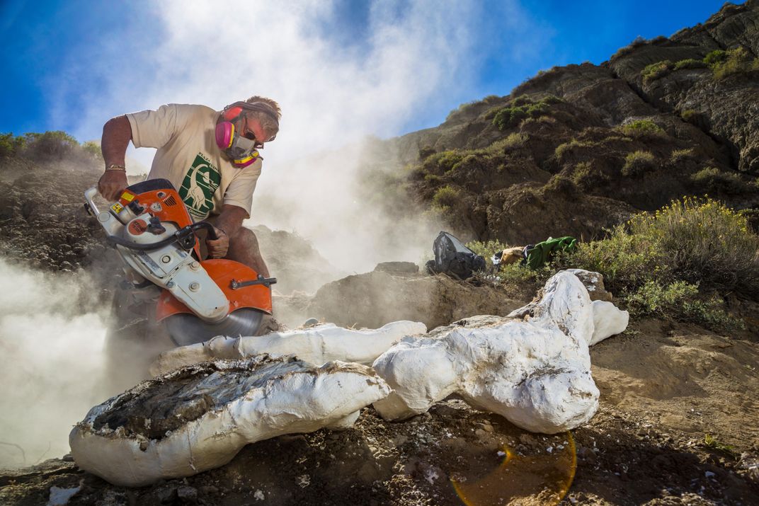 What Shrinking Fossil-Rich National Monuments Means for Science