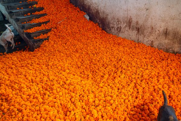 Stairs To Heaven thumbnail