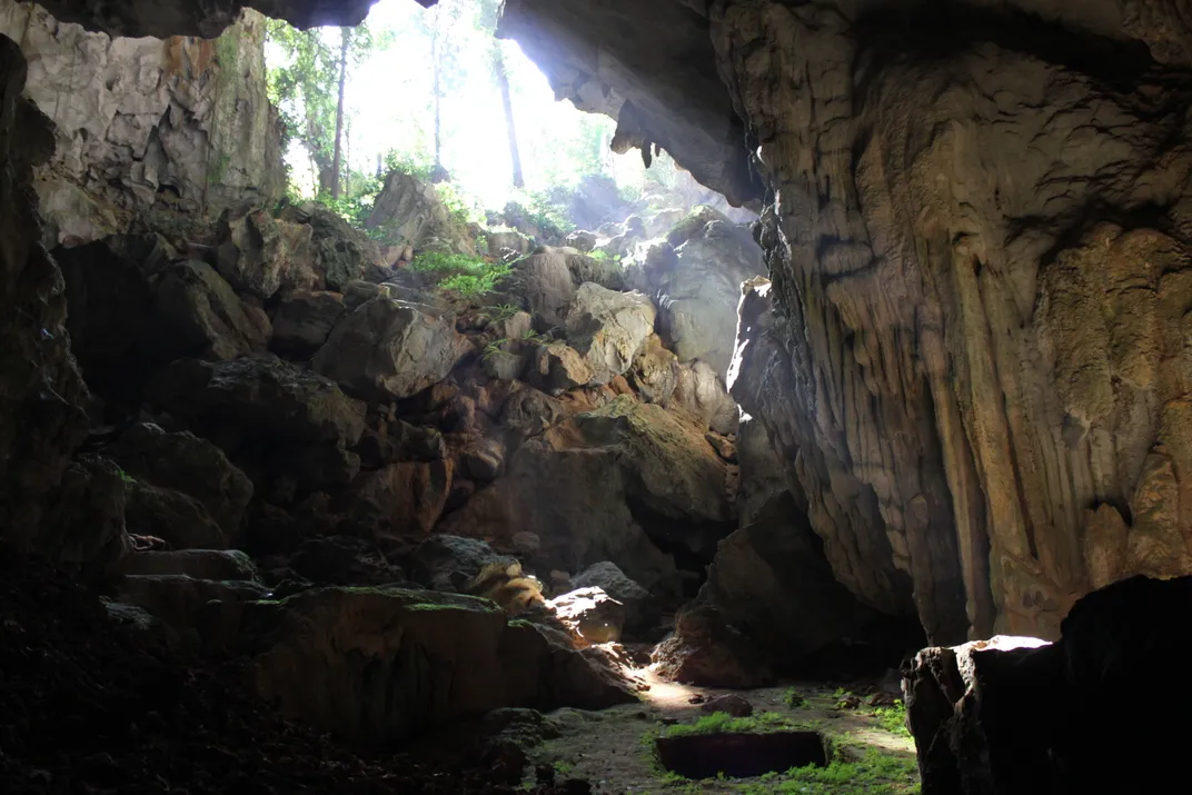the mouth of a cave with trees in the background