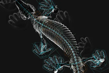 The species Orobates pabsti represents a group of animals that lived after the first animals to walk on land but before the evolution of modern lizards. 