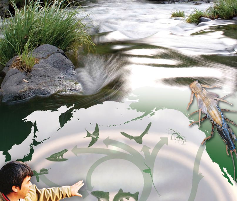 20110520104048riverwebs1.jpg