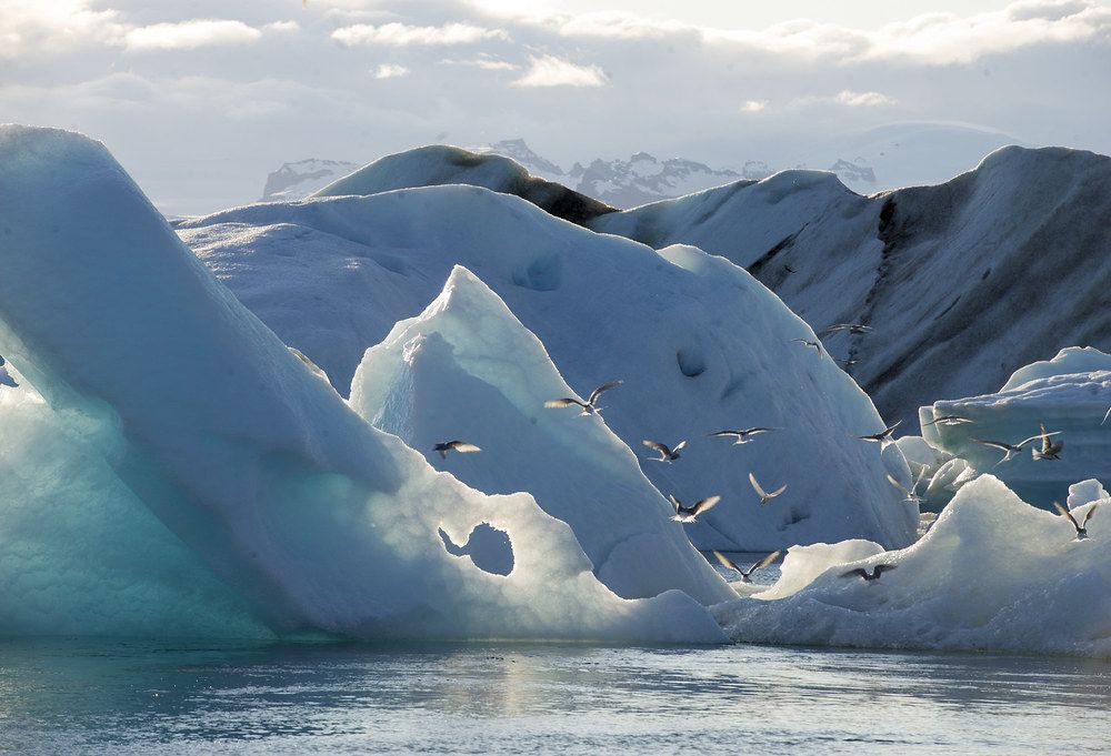 Jökulsárlón glacial lagoon