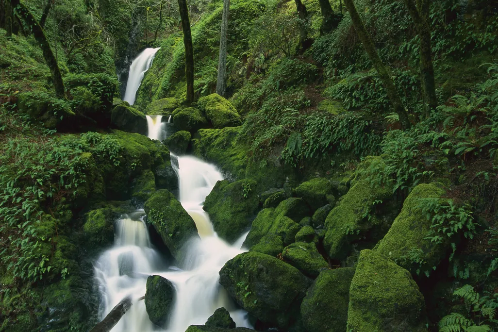 california stream