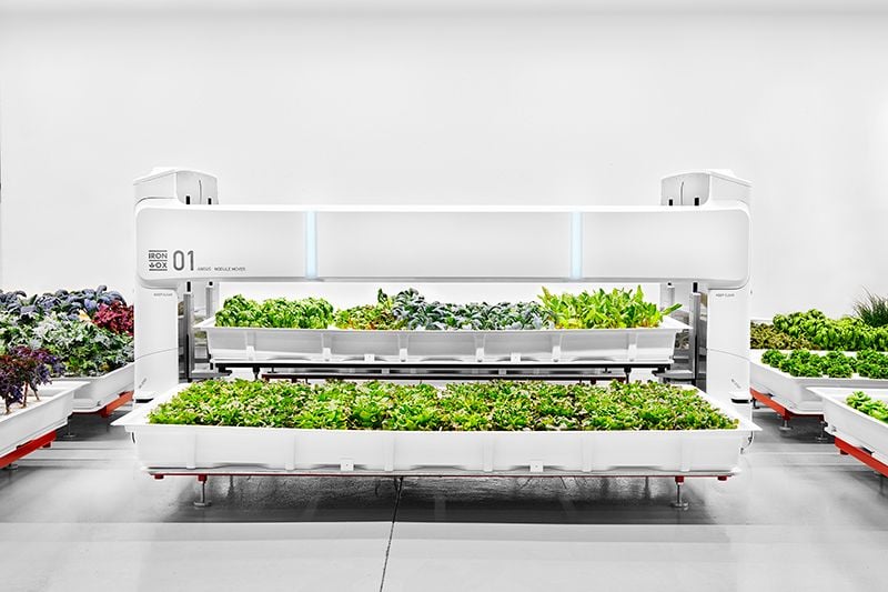 This Robotic Farming System Could Be the Answer to Labor Shortages