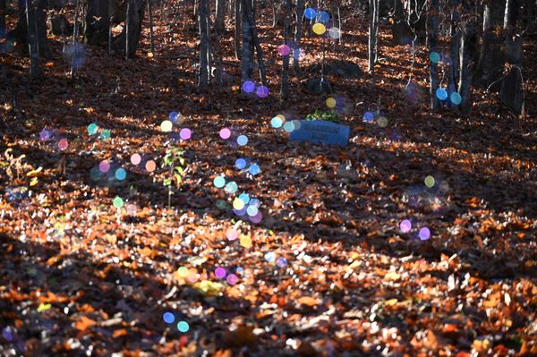 Colored Orbs at Oak Hill Cemetery thumbnail