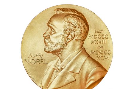 The Nobel Prize, named after the repentant creator of dynamite, has been awarded nearly every year since 1901.