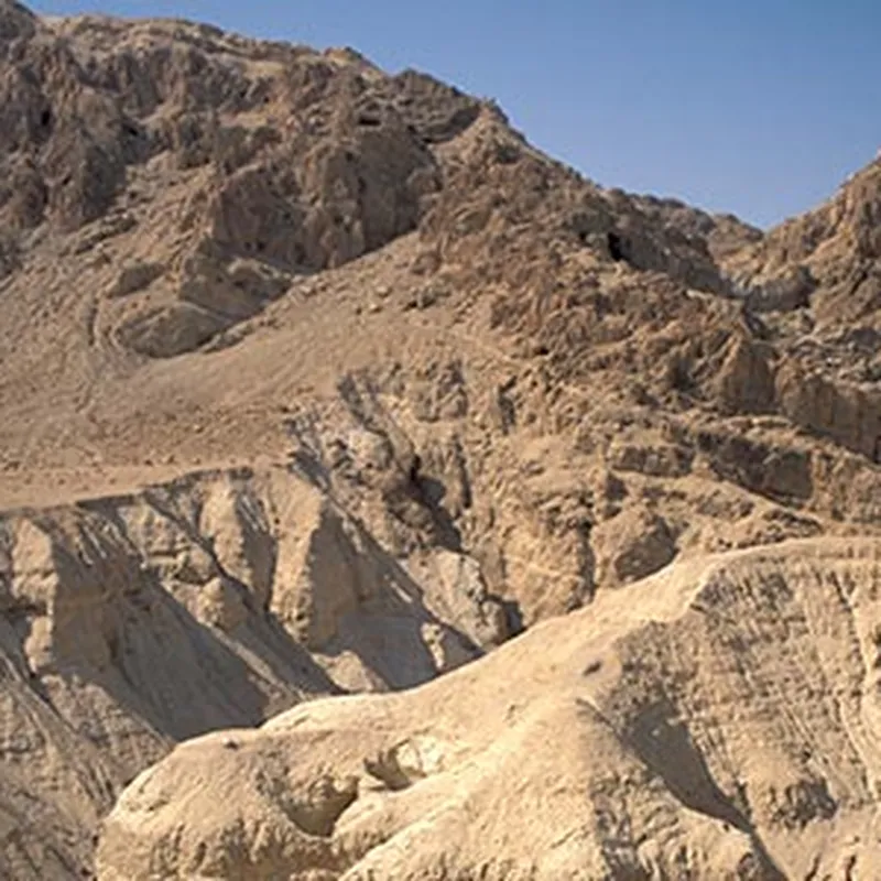 Mystery of 'strange plant' found inside salt cave of Dead Sea