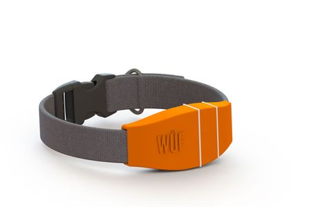 WÜF’s dog collar keeps owners connected to their canine companions at all times by offering two-way communication, GPS tracking and exercise monitoring
