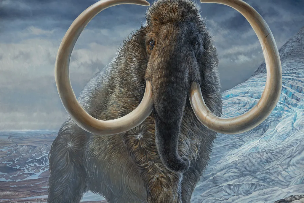 Mammoth In Arctic