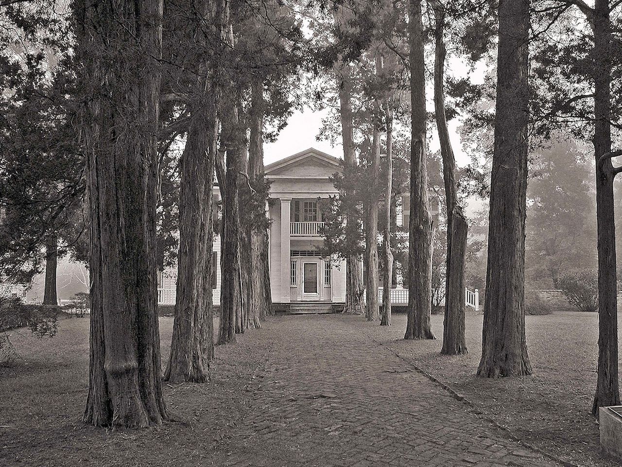 Get Lost in the Landscape That Inspired William Faulkner's