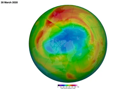 According to NASA: "The latest false-color view of total ozone over the Arctic pole. The purple and blue colors are where there is the least ozone, and the yellows and reds are where there is more ozone."
