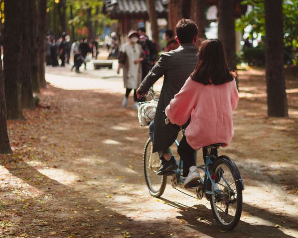A couple rides a tandem bicycle through the center of Nami Island in South Korea. thumbnail