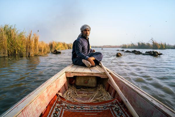 Rush hour in the Marshes of Mesopotamia thumbnail