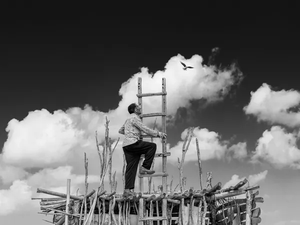 Untitled (50) thumbnail