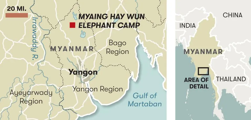 Myaing Hay Wun Elephant Camp