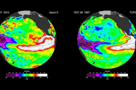 Do these satellite sea surface images look similar? Experts think so. The image of the Pacific Ocean on the left was taken recently. To the right is a sea surface image taken in December 1997. 