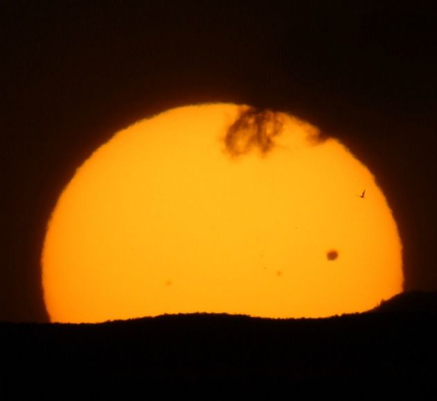 20120606_birdvenus.jpg