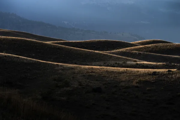 Hills at Sunset, Yellowstone thumbnail