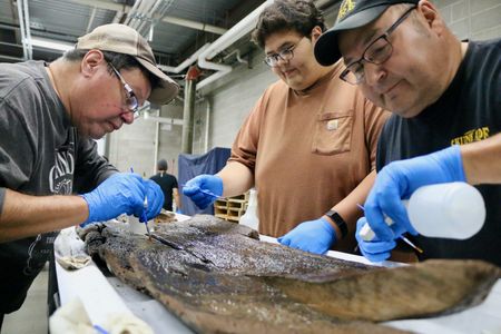 Members of Ho-Chunk Nation and the Bad River Band of the Lake Superior Chippewa help clean the 3,000-year-old canoe found in Lake Mendota.