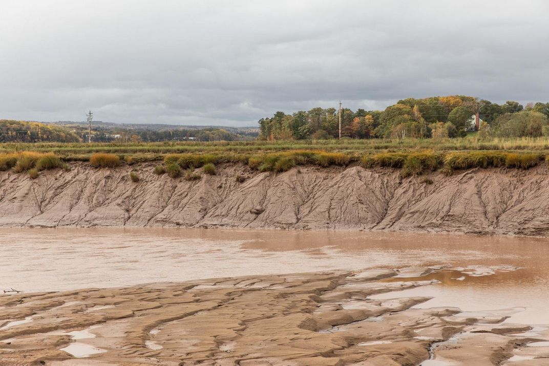 View of low tides