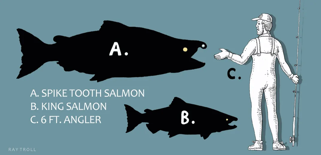 An illustration showing the size of extinct salmon next to living salmon and human