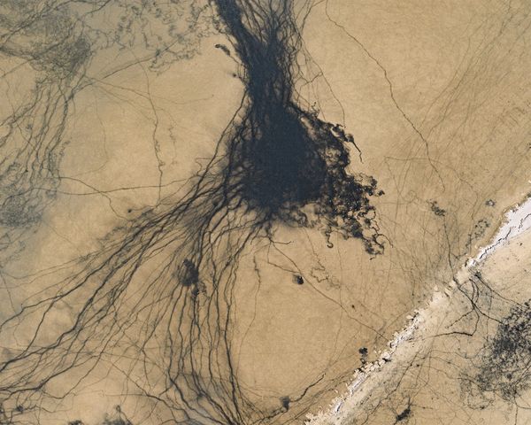 Crossroads - the traces thumbnail