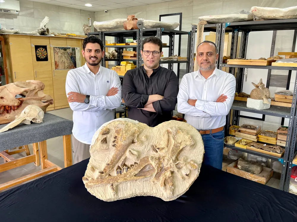 three researchers stand smiling, arms crossed over their chests, behind the whale fossil