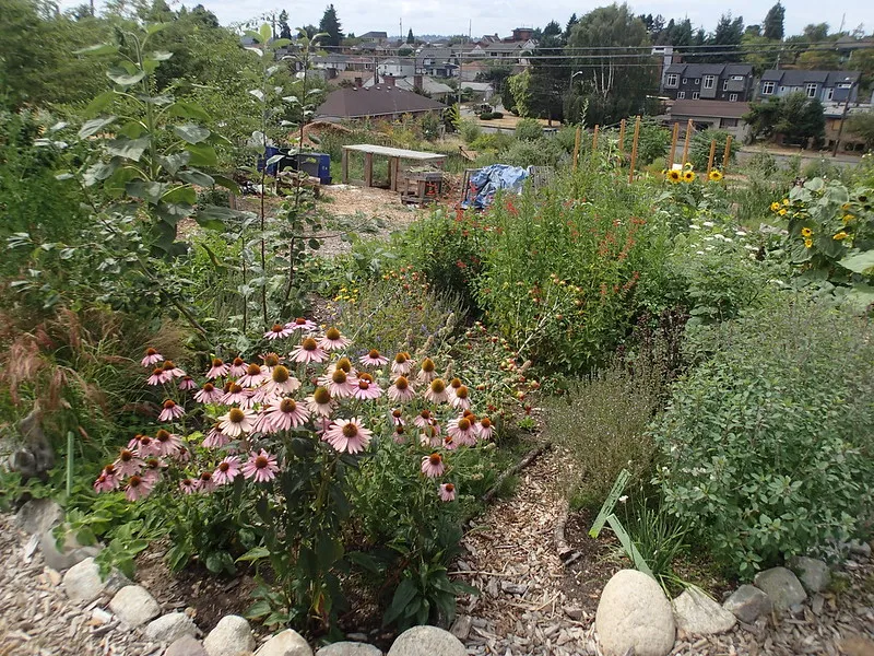 Are 'Edible Landscapes' the Future of Public Parks?