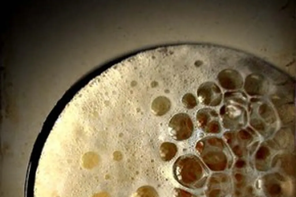 beer.Attilla1000.353837856_45ebf54731-290x400.jpg