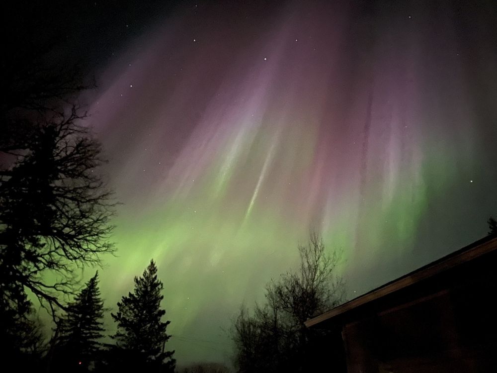 green, white and purple glowing lights stretch vertically into the sky above silhouettes of trees