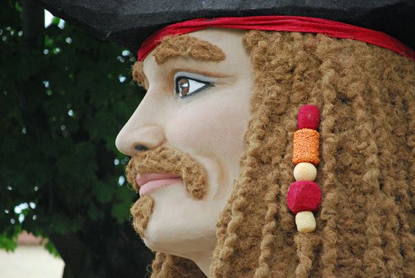 Floral Pirate Float thumbnail