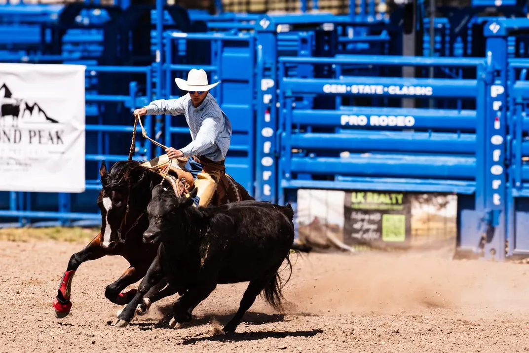 A person in a cowboy hat on horseback tries to rope a black cow in a dirt field in front of blue stadium seating.