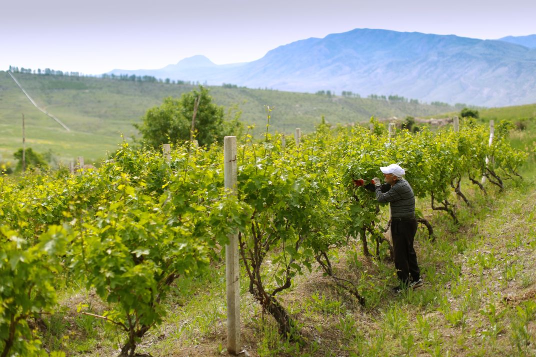 How Mobile Wine-Tasting Rooms Could Revolutionize Armenian Wine Country