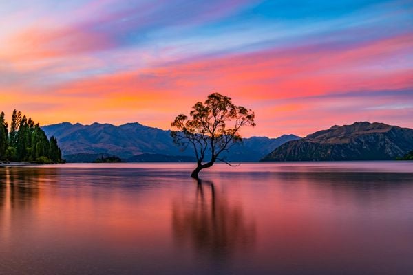 Cotton Candy Sunset Over That Wanaka Tree thumbnail