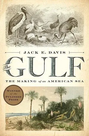 Preview thumbnail for 'The Gulf: The Making of An American Sea