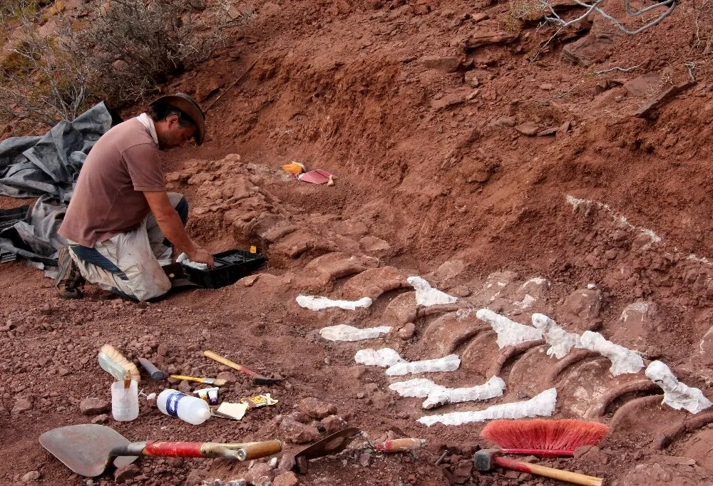Paleontologist digging in Candeleros Formation in the Neuquen River Valley, Argentina