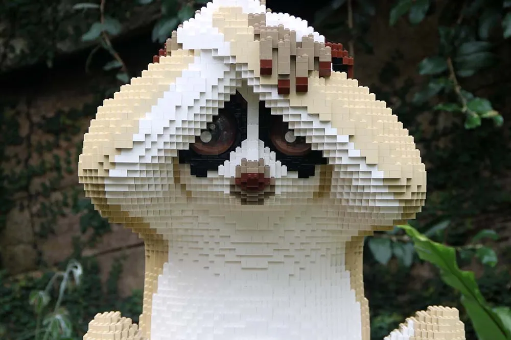 slow loris sean kenney-header.jpg