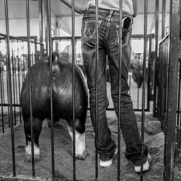 Black Brush thumbnail