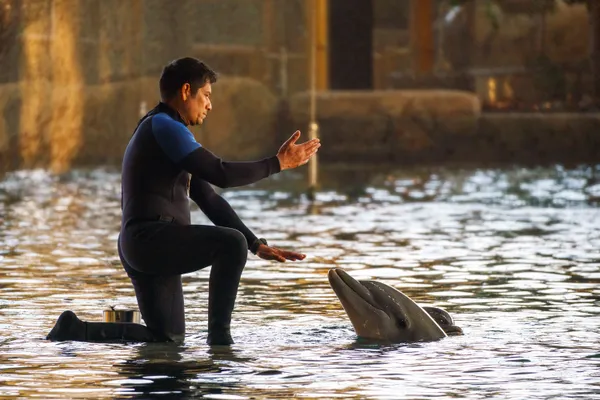 Harmony in Motion thumbnail