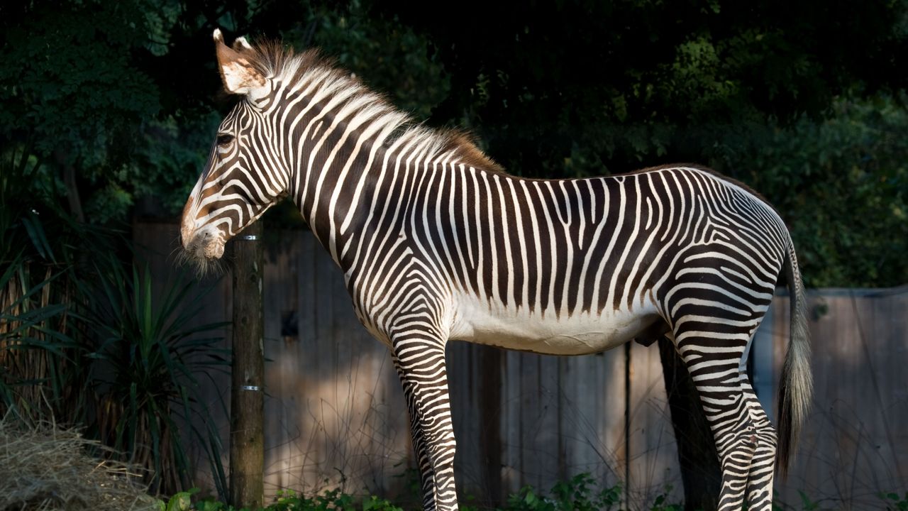 20100819-091mm_0.jpg