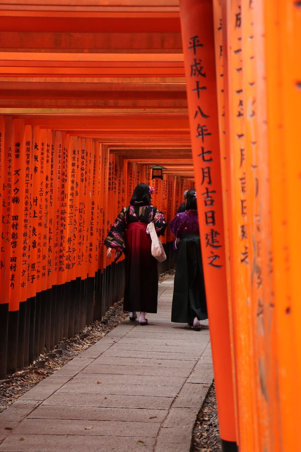 Fushimi Inari-taisha thumbnail