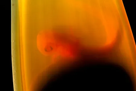 Scientists are getting better at keeping premature baby sharks alive in aquariums&mdash;a boon when captive sharks give birth early, or when aquariums receive donations of living shark fetuses taken from mothers that die in fishing nets.