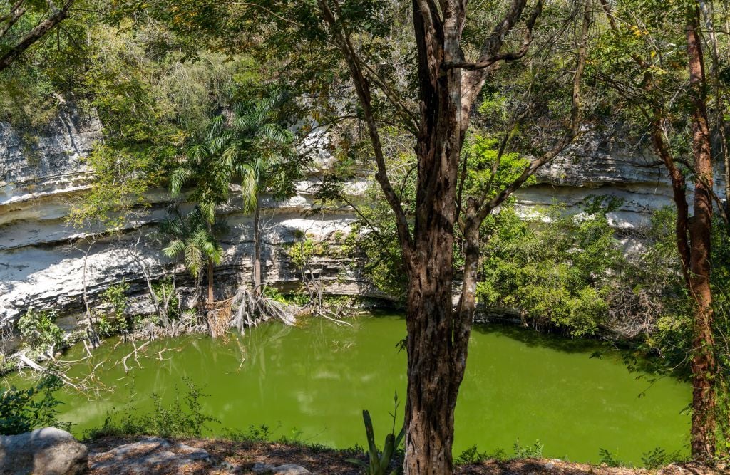 Sacred Cenote at Chichen Itza