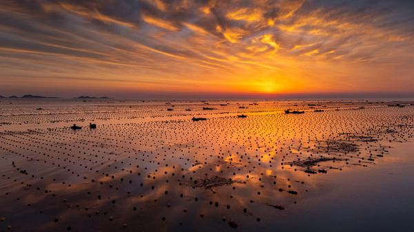 -The dawning on the farm thumbnail